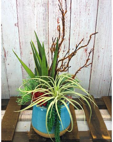 Faux Succulent Garden #14 Custom product