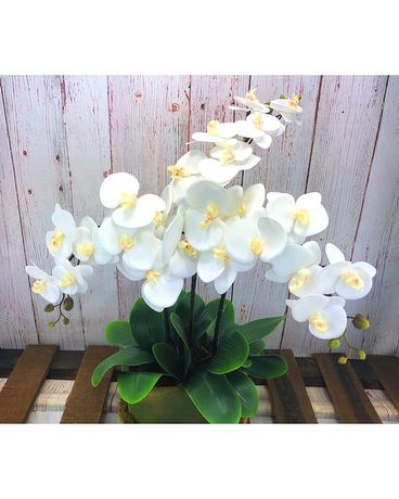 Faux Phalaenopsis #1 Custom product