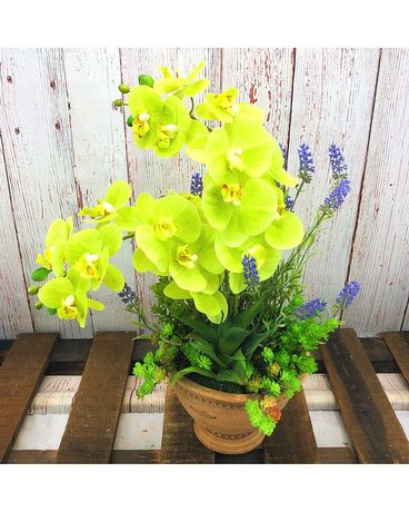 Faux Phalaenopsis #5 Custom product