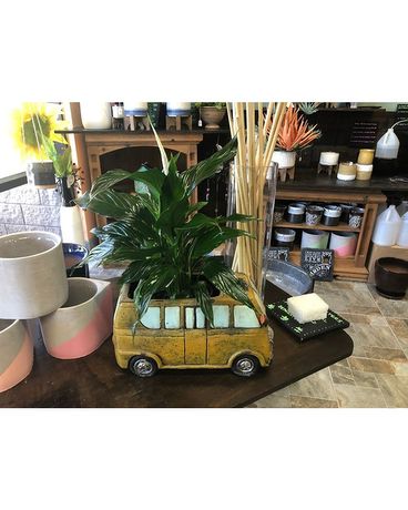 Showroom Item Gifts