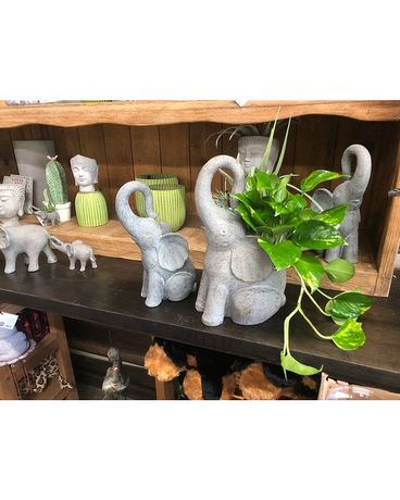 Elephant Planter and Statue Gifts