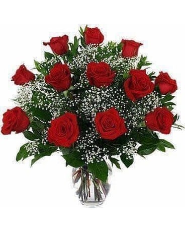 Red Roses - 1 Dozen Flower Arrangement