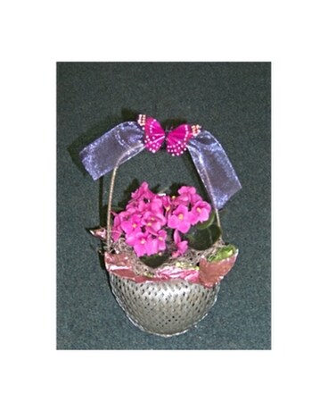 SILVER PLANT BASKET