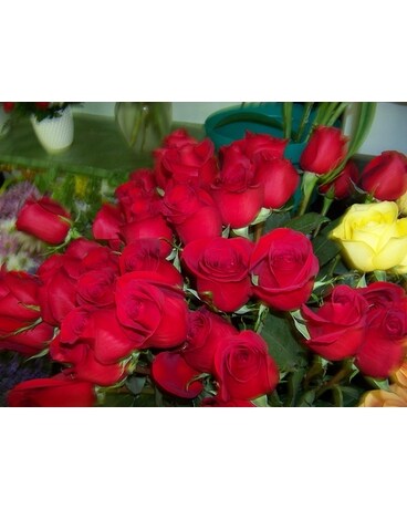6 RED ROSES WRAP Flower Arrangement