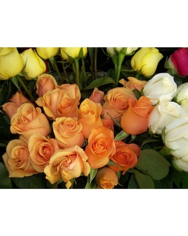 6 MIX COLOR  ROSES WRAP Flower Arrangement
