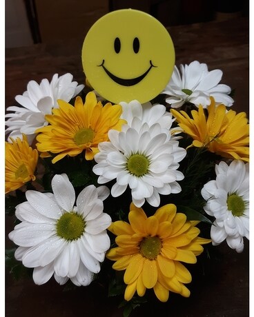Daisy smiles Flower Arrangement