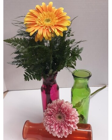 GERBERA BUDVASE Flower Arrangement