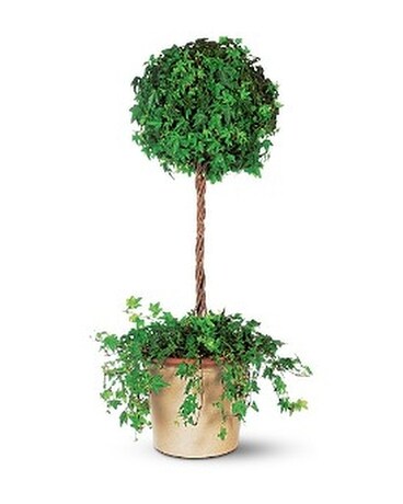 Ivy Topiary Flower Arrangement