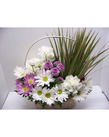 SYMPATHY PLANT AND FLOWERS Flower Arrangement