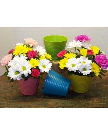 COLORFUL POT Flower Arrangement