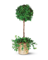Standard size,  inches height and  inches wide.