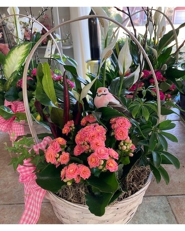 Plant Basket Flower Arrangement