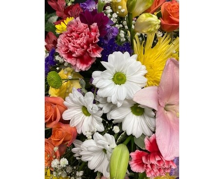 Seasonal Bouquet - Designers Choice Bouquet