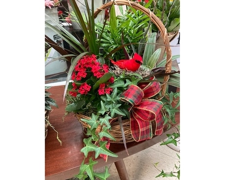 Holiday Planter Flower Arrangement
