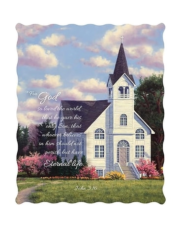 John 3.16 Throw Gifts