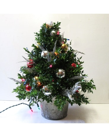 Festive Bowood Tree with lights (HS-893) Flower Arrangement