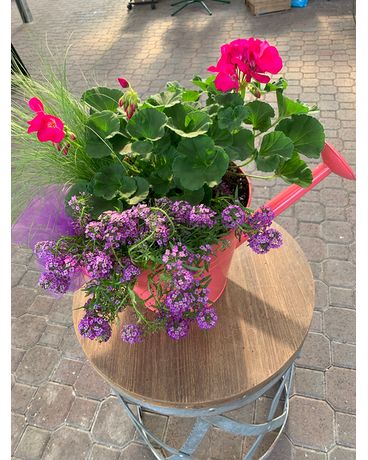 Watering Can Planter Plant