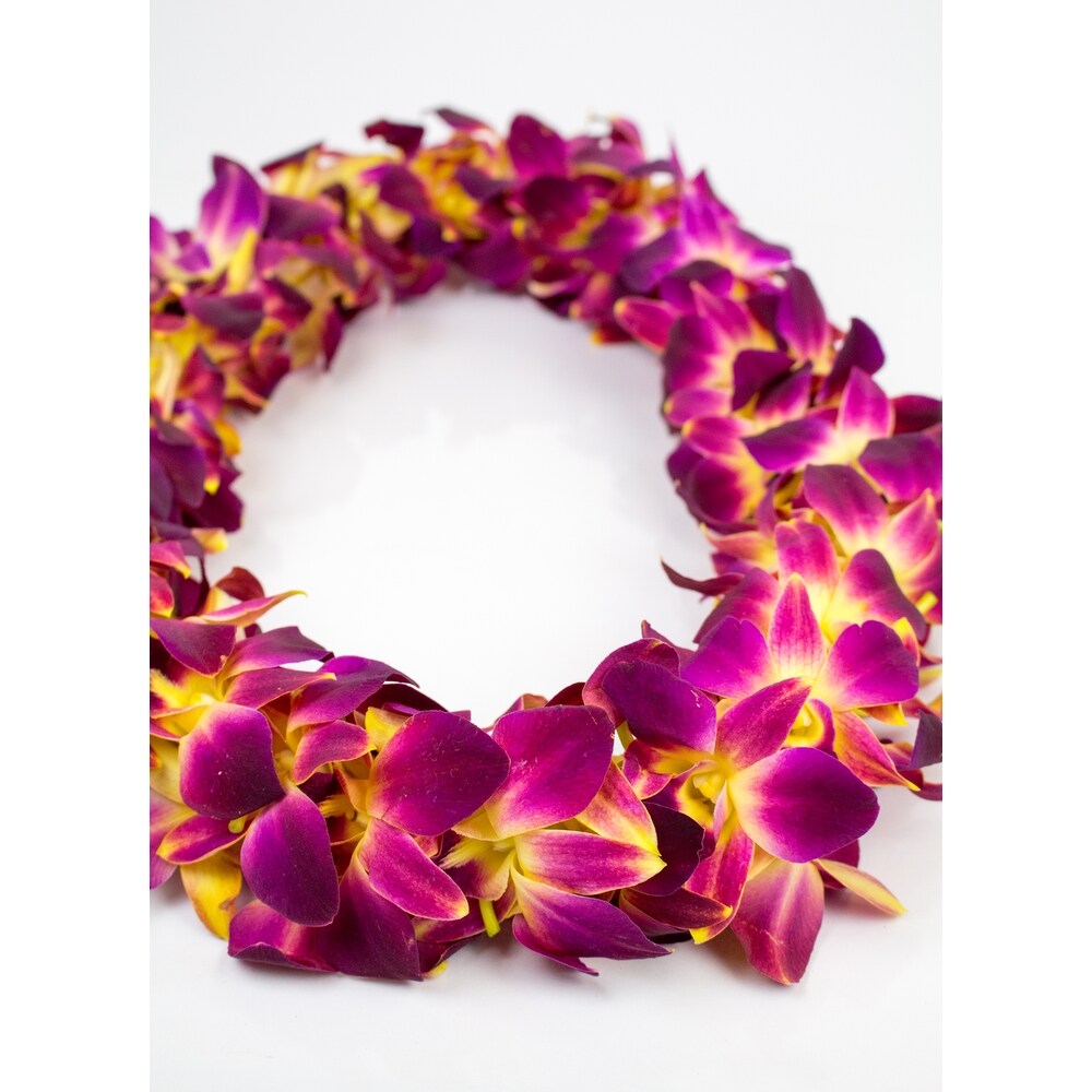 LOIRparis NINE Fleurs bordeaux ロンパース１８M LOIRparis NINE Fleurs bordeaux ロンパース18M