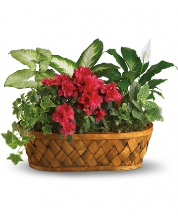 Suzann's Garden Basket Flower Arrangement