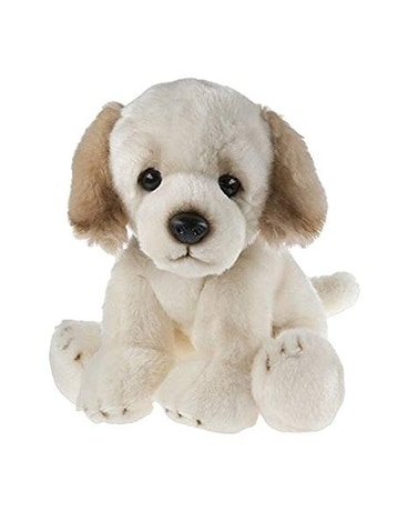 Golden Retriever Gifts