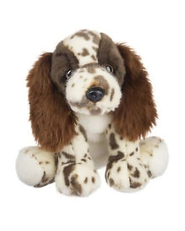 Springer Spaniel Gifts