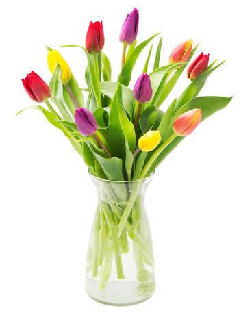 Mixed Tulips Flower Arrangement
