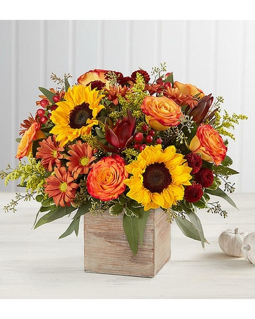 Suzann's Harvest Glow Bouquet Flower Arrangement