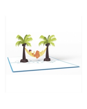 Hammock & Palm