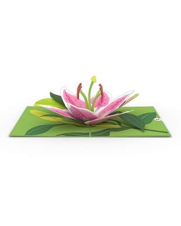 Lily Bloom Gifts
