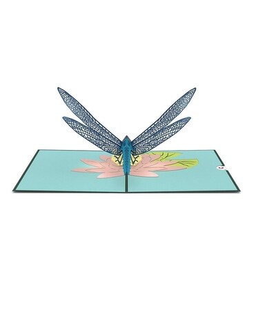 Dragonfly Gifts