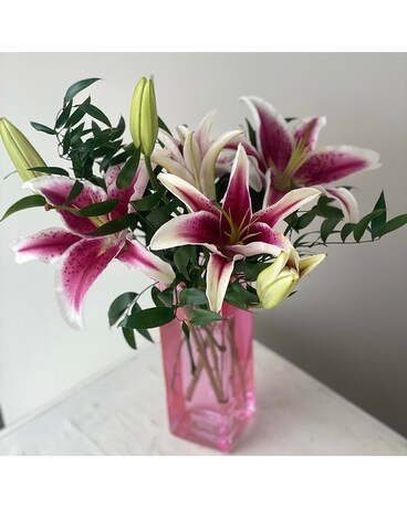 Pink size,  inches height and  inches wide.