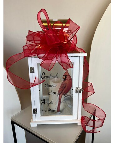 Cardinals appear large lantern Gifts