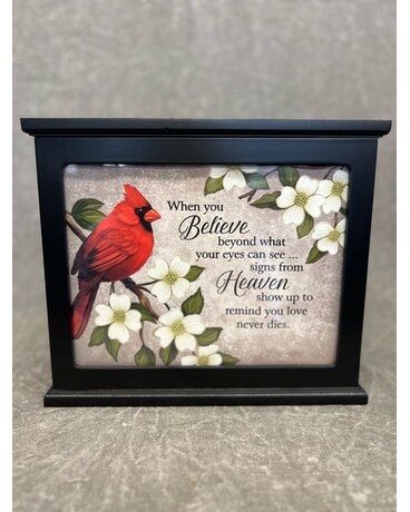 Cardinal Light Up Box Gifts