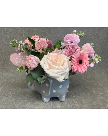 Pink Elephant size,  inches height and  inches wide.