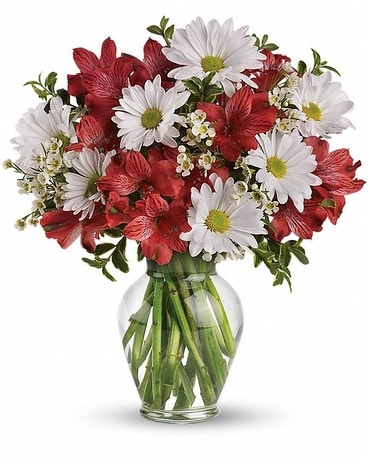 Dancing in Daisies Flower Arrangement