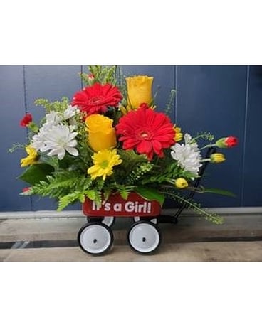 MacArthur’s It’s a Girl Flower Arrangement