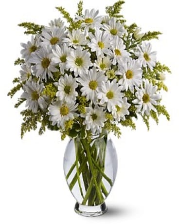 Daisy Days Flower Arrangement