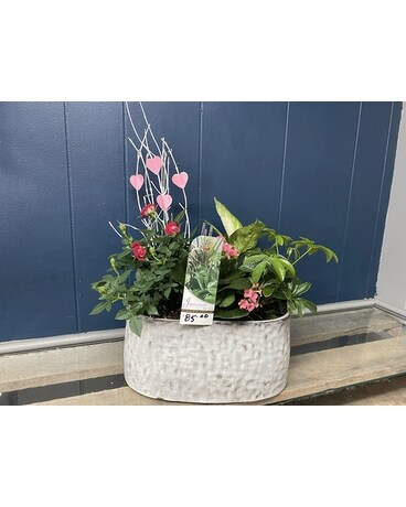 Dish Garden Flower Arrangement