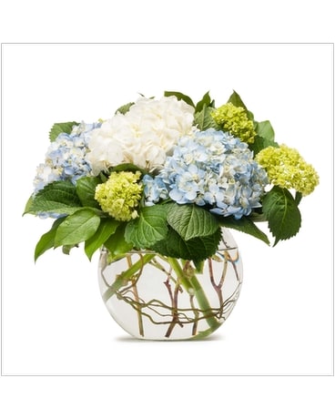 Mighty Hydrangea Flower Arrangement