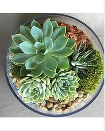 Desert Escape Flower Arrangement