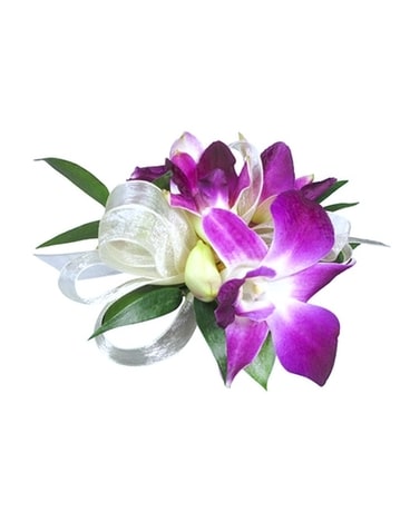Orchid Wrist Corsage in Moncton NB - Macarthur's Flower Shop