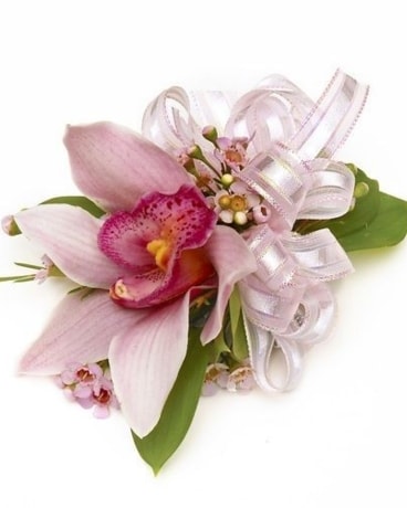 Premium Orchid Wrist Corsage in Moncton NB - Macarthur's Flower Shop