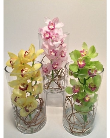 cymbidium orchid Flower Arrangement