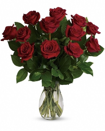 Dozen Ecuadorian Roses Flower Arrangement