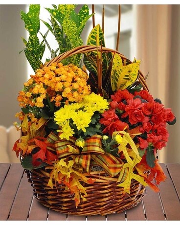Ashley's Autumn Plant Basket Flower Arrangement