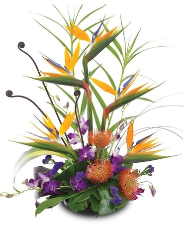 Ashley's Tropical Design Flower Arrangement