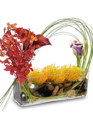 Macara Majesty Flower Arrangement