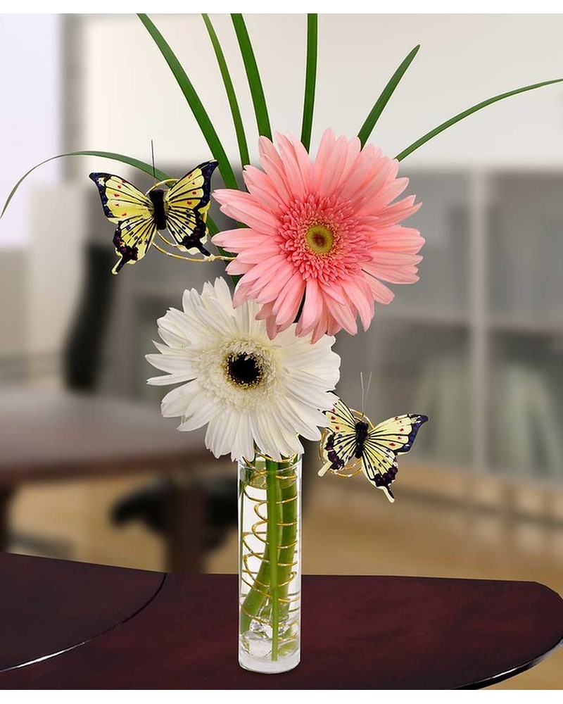 Graceful Gerbera in Detroit MI - Ashley's Flowers