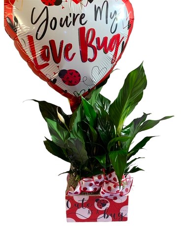 Love Bug planter Plant