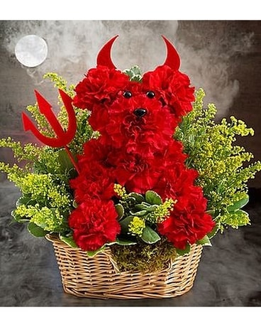 Devil Dog Flower Arrangement